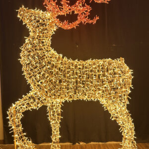 IP65 String lights motif display